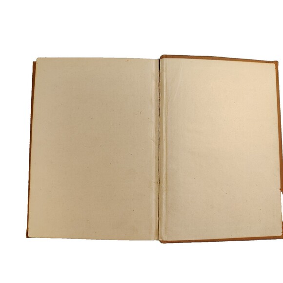 Antique Michigan State & Local Government HC Book WJ McKone 1921 edition - Picture 9 of 13